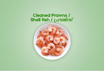 Cleaned Prawns Large / Shell fish / പ്രൗൺസ് (400gm) 